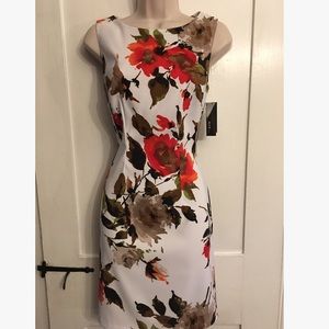 Alyx Floral Sleeveless Sheath Dress Sz 4